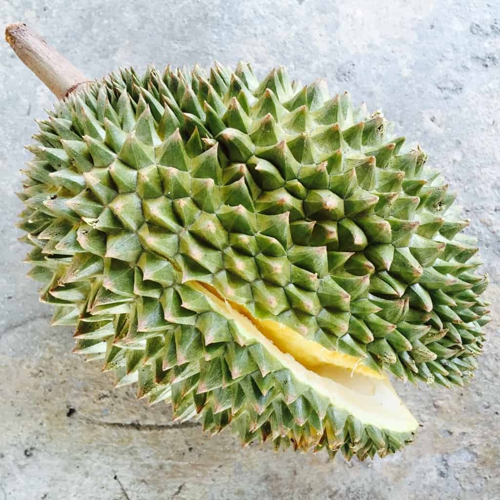 durian - 5