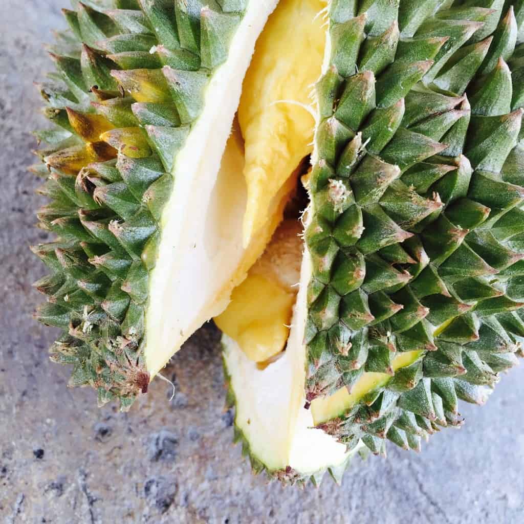durian - 7